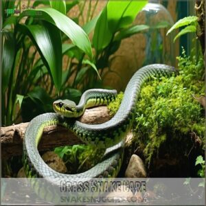 grass snake care