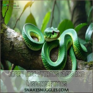 Green Tree Pythons Facts and Misconceptions