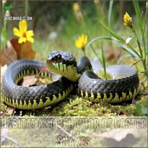 Habitat and Behavior of Garter Snakes