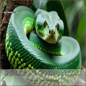 Handling and Behavior of Green Tree Pythons