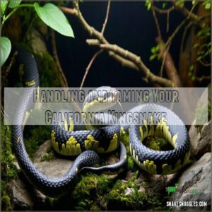 Handling and Taming Your California Kingsnake