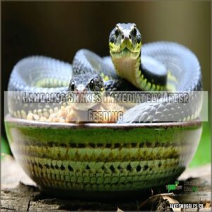 Handling Snakes Immediately After Feeding