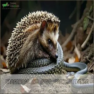 Hedgehogs and Their Prickly Defense Hedgehogs and Their Prickly Defense