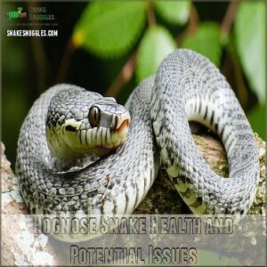 Hognose Snake Health and Potential Issues