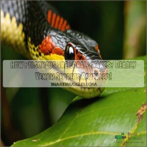 how poisonous are coral snakes