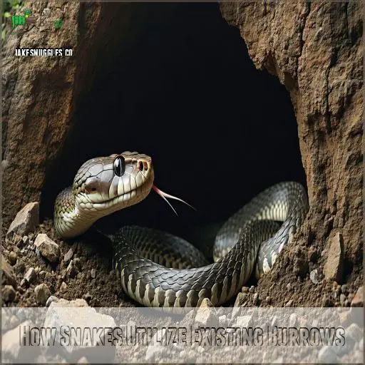 How Do Snakes Dig Holes? The Shocking Truth Revealed!