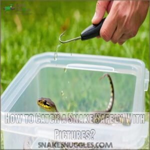 how to catch a snake safely with pictures