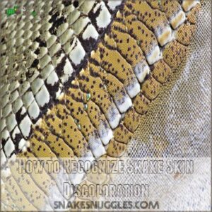 How to Recognize Snake Skin Discoloration