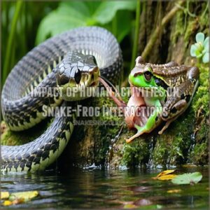 Impact of Human Activities on Snake-Frog Interactions