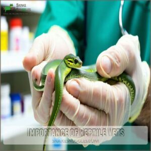 Importance of Reptile Vets