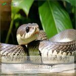 How to Breed Snakes: Top Tips for Successful Snake Breeding - Snakes Breeding For Research Purposes