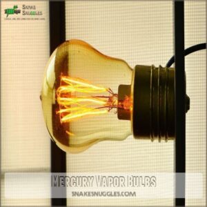 Mercury Vapor Bulbs