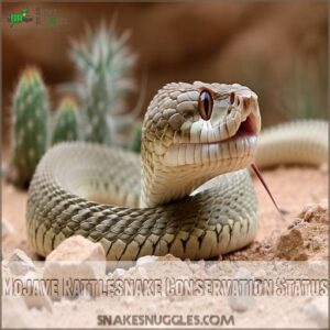 Mojave Rattlesnake Conservation Status