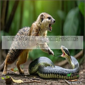 Mongooses and Their Snake-Fighting Skills