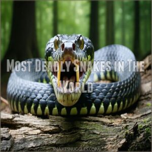 Most Deadly Snakes in The World