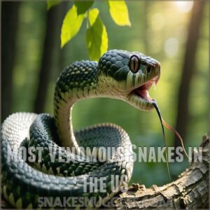 Most Venomous Snakes in The US