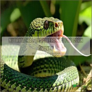 Nutritional Requirements for Corn Snakes