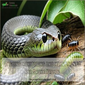 Ongoing Monitoring and Maintenance for Snake Health