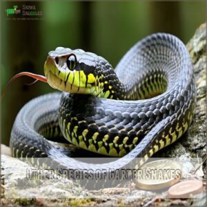 Other Species of Garter Snakes