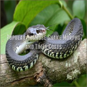 Popular Hognose Snake Morphs and Their Costs