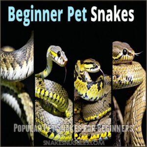 Popular Pet Snakes for Beginners