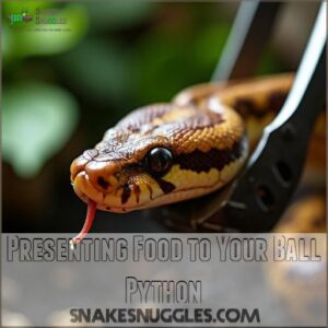 Presenting Food to Your Ball Python