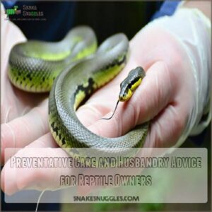 Preventative Care and Husbandry Advice for Reptile Owners