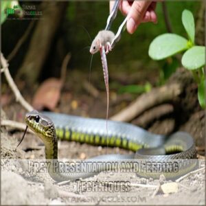 Prey Presentation and Feeding Techniques