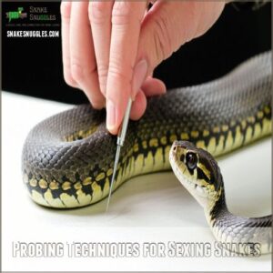 Probing Techniques for Sexing Snakes