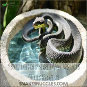 Providing Fresh Water for Your Snake