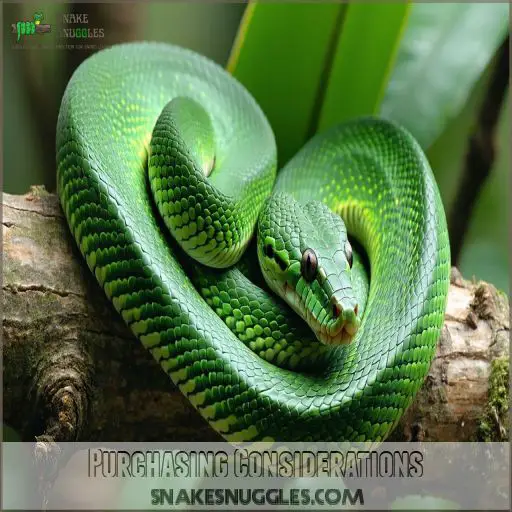 How to Care for Green Tree Pythons as Pets: Expert Tips for Beginners