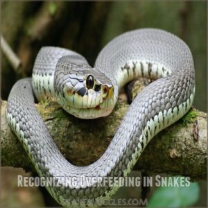 Recognizing Overfeeding in Snakes