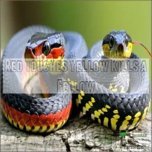 Red Touches Yellow Kills a Fellow Red Touches Yellow Kills a Fellow