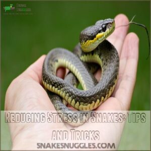 Reducing Stress in Snakes: Tips and Tricks