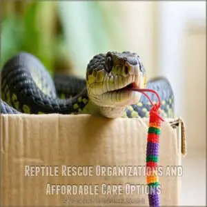 Reptile Rescue Organizations and Affordable Care Options