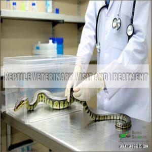 Reptile Veterinary Visit and Treatment