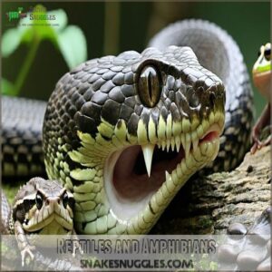 Reptiles and Amphibians