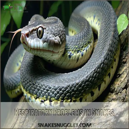 Python Snake Respiratory Snake Health Problems to Watch For: 7 Warning Signs!