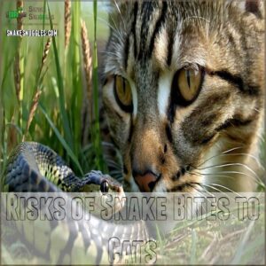 Risks of Snake Bites to Cats