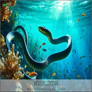 Sea Snakes