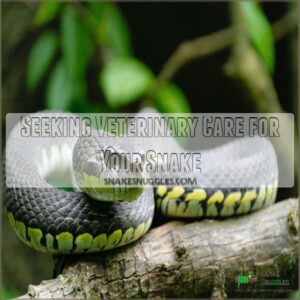 Seeking Veterinary Care for Your Snake