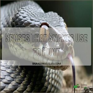 Senses That Snakes Use to Hunt