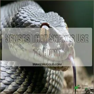 Senses That Snakes Use to Hunt Senses That Snakes Use to Hunt
