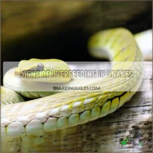 Signs of Overfeeding in Snakes