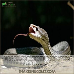 Signs of Regurgitation and Stress in Snakes