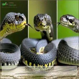 Similar Species Similar Species