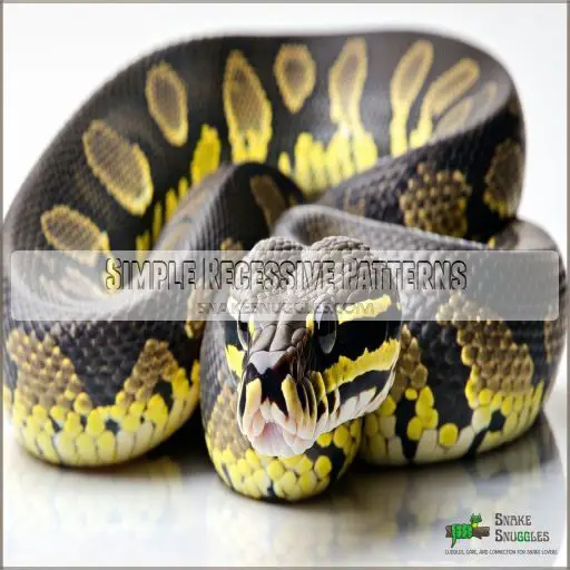 Ball Python Morph Market: Breeders, Trends, Care & Top Morphs