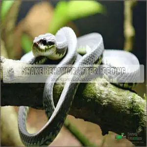 Snake Behavior After Feeding