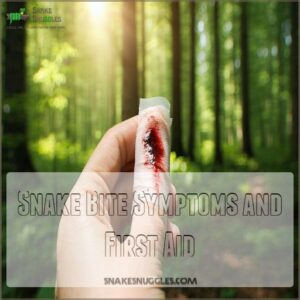 Snake Bite Symptoms and First Aid