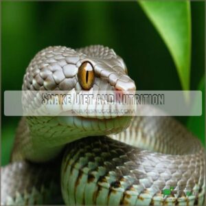 Snake Diet and Nutrition